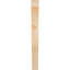 Attelle de genou Funston-1812888342-1812888345-1803675911