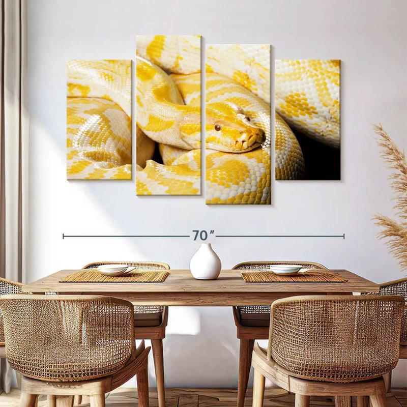 Brampt Albino Burmese Python, 42" H x 68" W