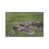 White Framed