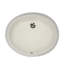 Lavabo de salle de bain ovale en porcelaine vitreuse avec trop-plein 17,25 "Nantucket Sinks Great Point-4095021