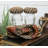 Salt And Pepper Shaker Set