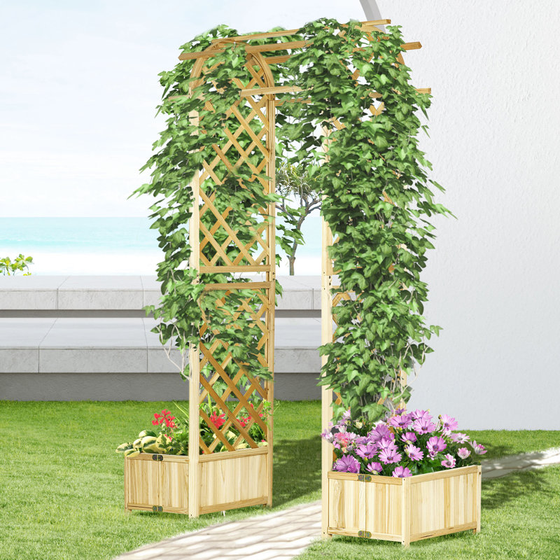 Arche - Treillis pour raisins grimpants. Créez une toile de fond personnalisée. Plantes suspendues en bois 65,25 po x 21,25 po. Décoration ballon. Structure stable avec jardinières. 92,5 po de hauteur. Prêt pour l'extérieur