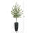 Eucalyptus Artificial Tree in Gray Planter