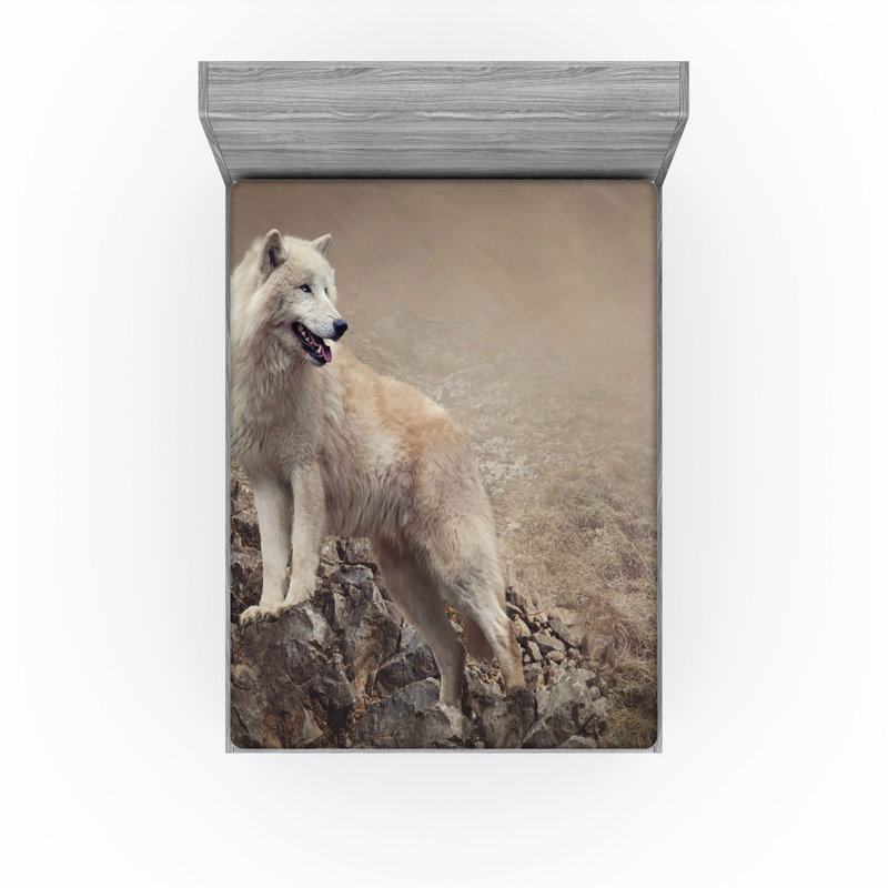 Ensemble de 2 draps-housses Ambesonne