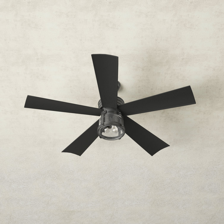 Clarence 56'' 5 Blade Ceiling Fan with Light Kit