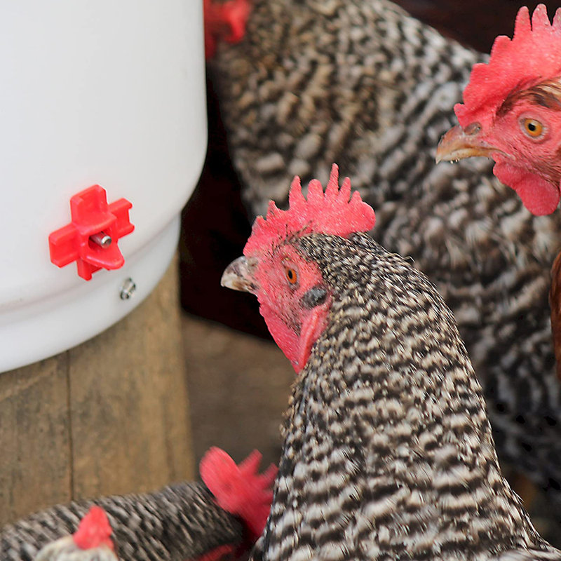 Scratch Resistant Freestanding Feeding Station