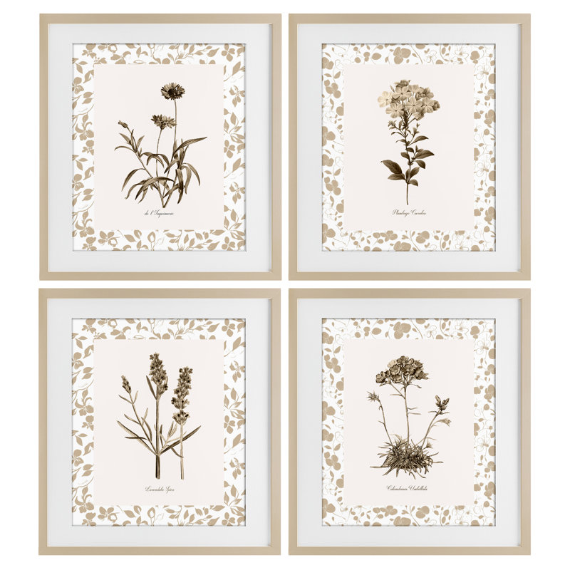 «Neutral Imperial Flower Study», ensemble de 4 reproductions encadrées sous verre, par Kelly Donovan, H 21 po x l 17 po