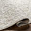 Oriental Area Rug-1679011105-1714296871