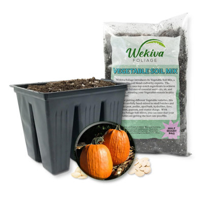 Captain Jack Pumpkin Seed Starter Kit - Pumpkin Seeds with Tray Line and Half Quart Vegetable Soil Mix - Grow Your Own Vegetables