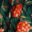Tapisserie murale «Fruit Buffalo Berry»-133649015