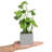 3 - Piece Artificial Foliage Plant in Vase Pots