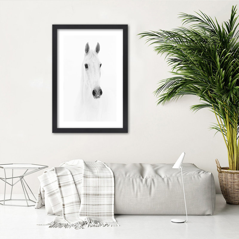 White Horse Animals Nature - Single Picture Frame Print, 90cm H x 60cm W, Black