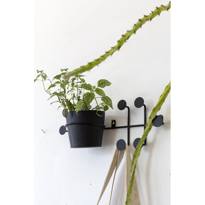 Angelina Ceramic Wall Planter