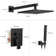 2 - Functions Pressure Balancing Shower Faucet with Rough-in Valve