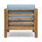 OANA CLUB CHAIR-88828810-88828809