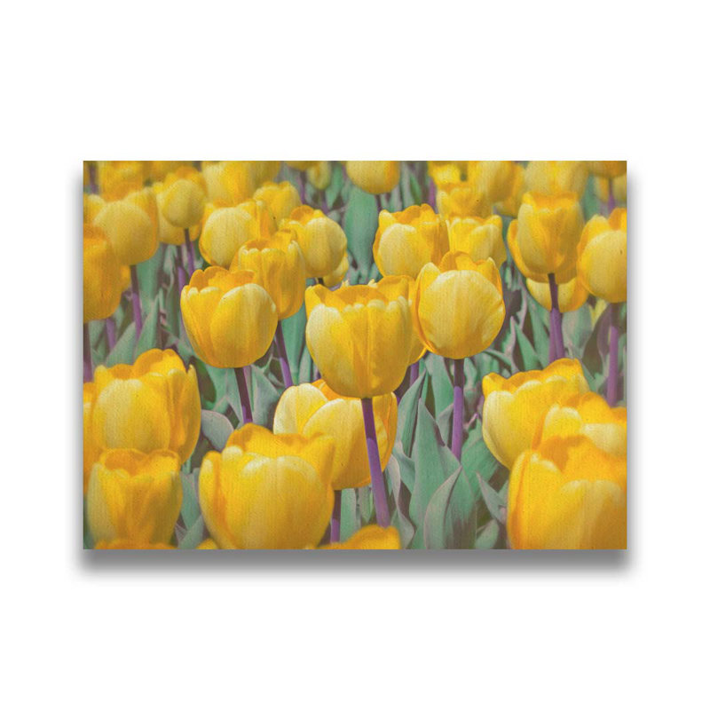 Golden Tulips par Hal Halli. Impression sur papier - Montée et encadrée, H 34 po x l 44 po, Brun