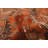 Melis Copper Rug 3'9" x 5'11"