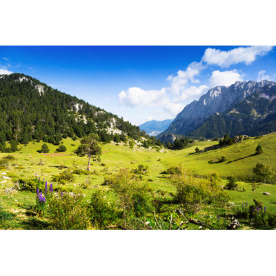Mountains Landscape 1 Piece Wrapped Canvas Wall Art
