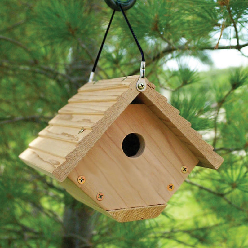 Maison d'oiseaux en bois pour l'extérieur Wilden