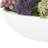 Sedum and Succulents Arranged in Fiberstone Planter