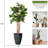 81 " H Faux Palm Tree in Fiberstone Vase