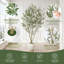 Olive artificielle 8 pi avec jardinière blanche et fausse mousse, grand olivier faux avec des feuilles réalistes et un tronc réaliste