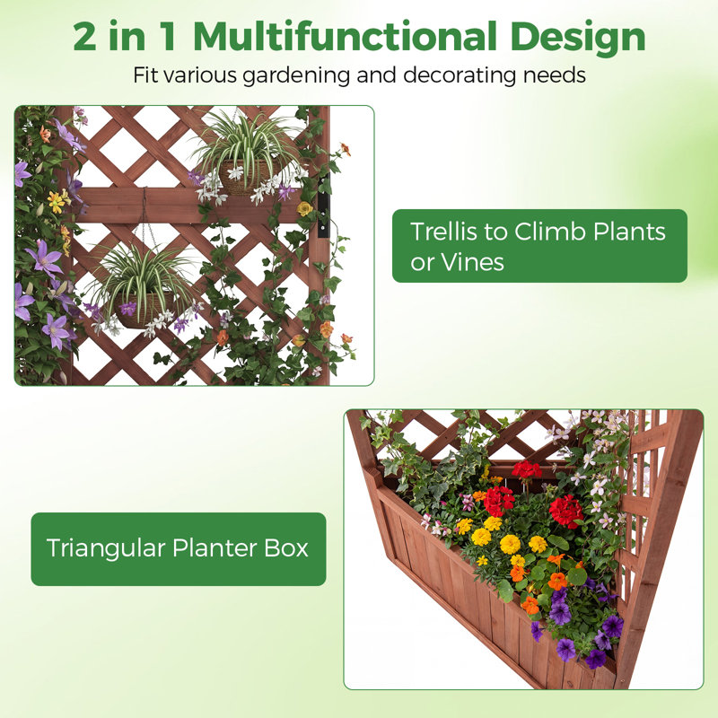 140cm H x 50cm W Wood Lattice Panel Trellis, Brown