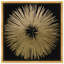 «Abstract Sunburst Golden Night», impression-119864314-51241195-51241197