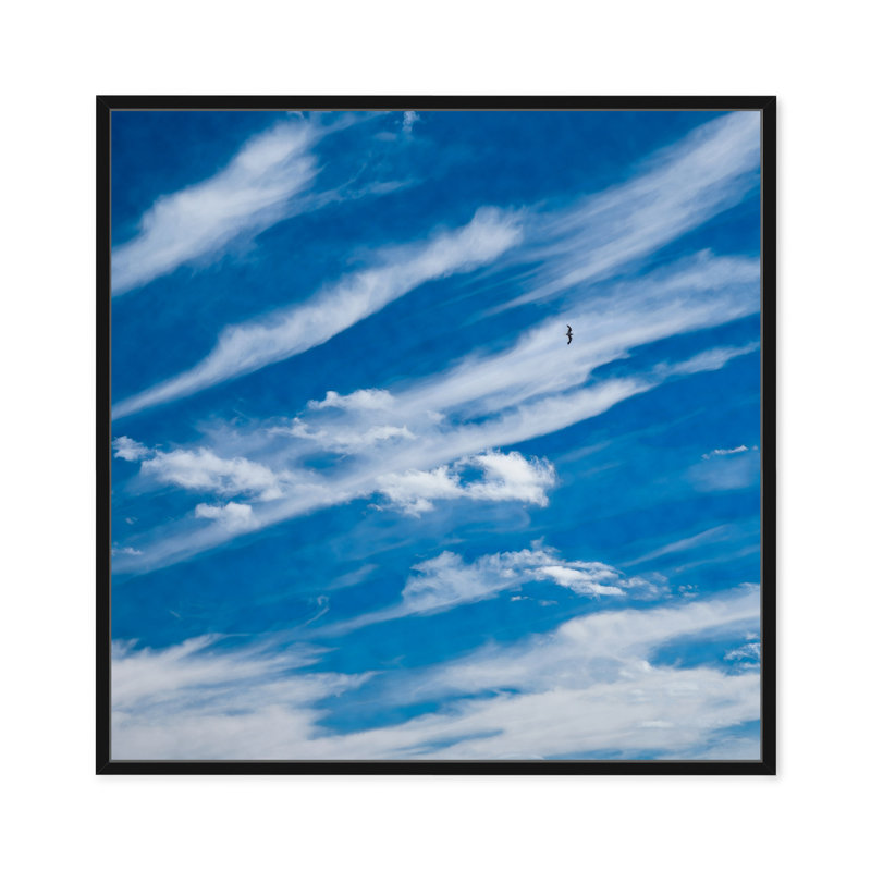 Ciel haut en bleu, H 30 po x l 30 po, Noir