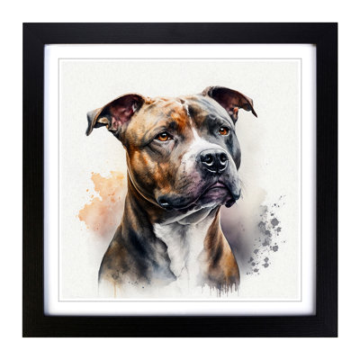 Staffordshire Bull Terrier Watercolour - Framed Print