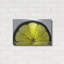 "Fruit Macros 09" par Gordon Semmens-101624067