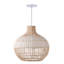 Carolus Dome Pendant Light, 1 Light
