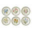 Botanic Garden Etchings Set Of 6 Pasta Bowls