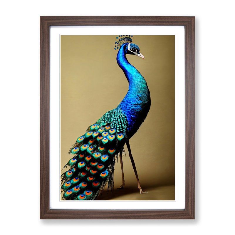 Stunning Peacock - Single Picture Frame Print, 64cm H x 46cm W x 2cm D, Walnut Framed