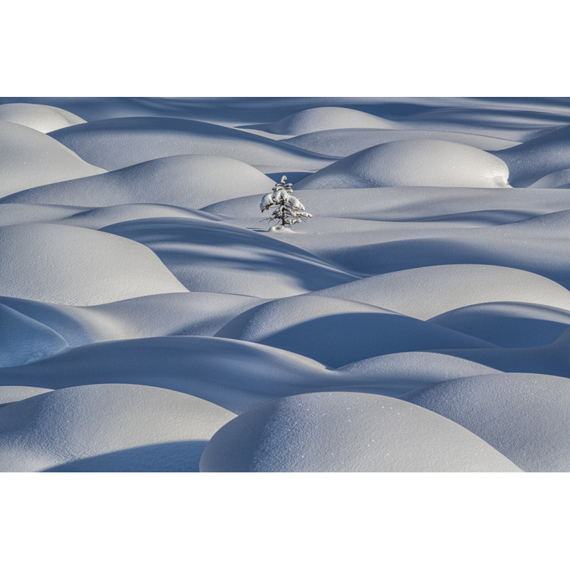 Wrapped Canvas Print, 50.8 cm H x 76.2 cm W