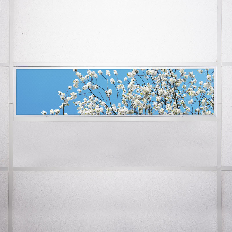 Tree Rectangle Fixture Component Ceiling Light