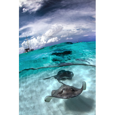 Stingray City par Martinhristov - Photographie sur toile tendue