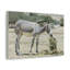 No Frame Print on Canvas-378862515
