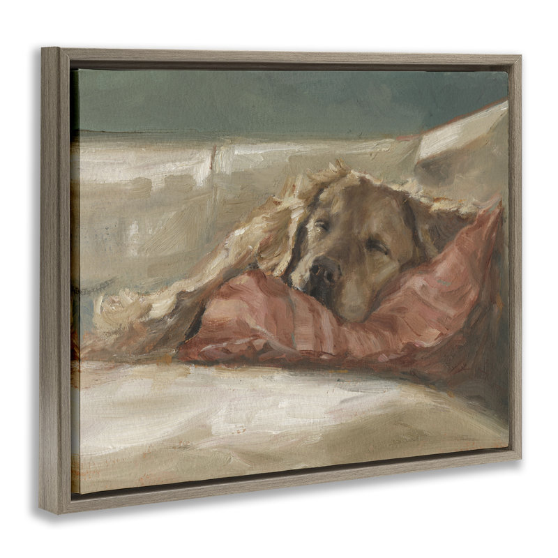 «Comfortable Sleeping Labrador», art mural encadré flottant par Labrador, H 25 po x l 31 po, Cadre flottant orme Montalcino