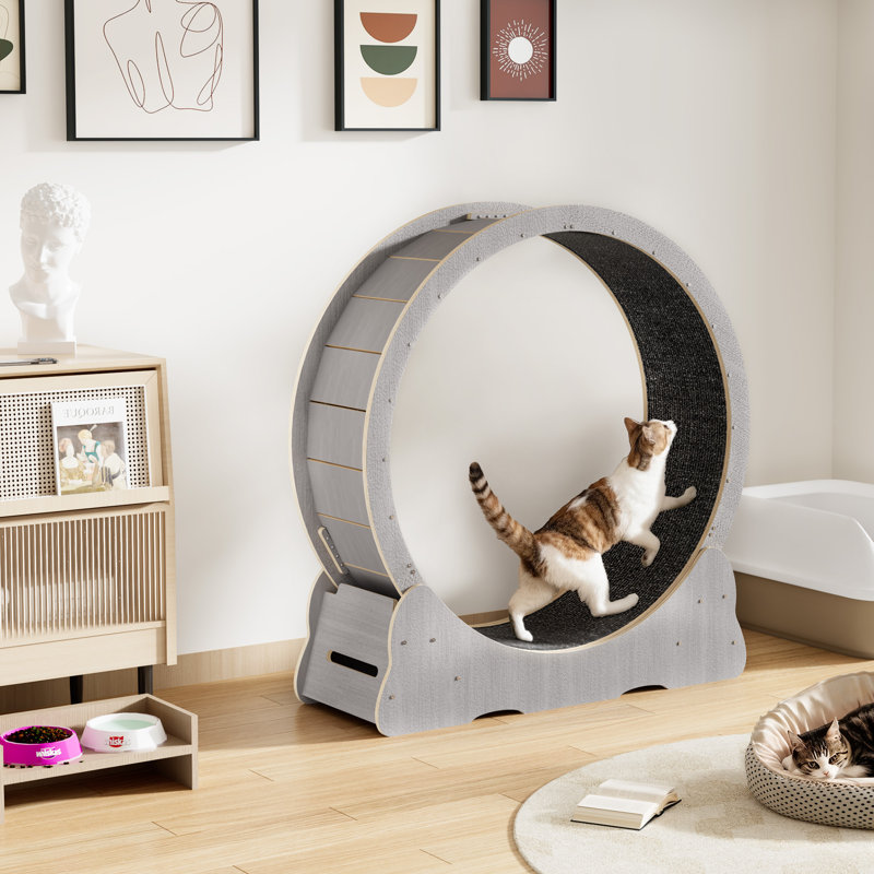 Tapis roulant d'intérieur pour animal de compagnie