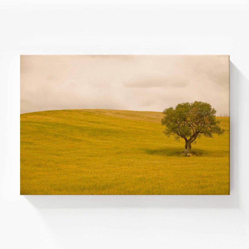 Tuscan Fields' Charm, Large Canvas Print, 36" H x 54" W