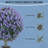 UV Resistant Faux Greenery,2 Pack Artificial Ball Eucalyptus Topiary