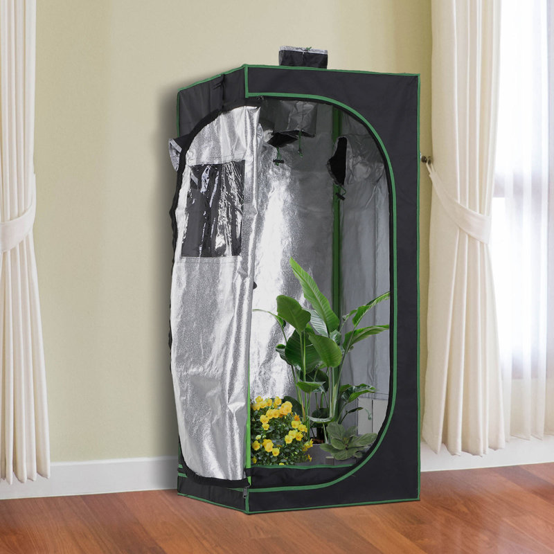 2 Ft W x 2 Ft D Hydroponic Plant