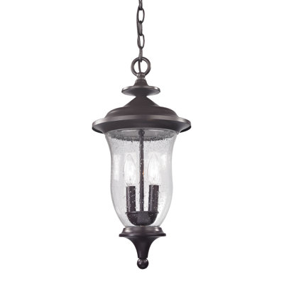 Vandoren 2 - Light Unique / Statement Urn Pendant -  Alcott HillÂ®, 59A5015E23DE4A72A1C8FA68242A51C6