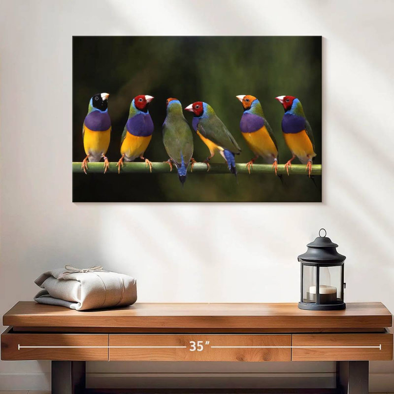Gouldian Finch I, H 16 po x l 24 po