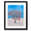 Tree Of Roses Print by Tom Blood