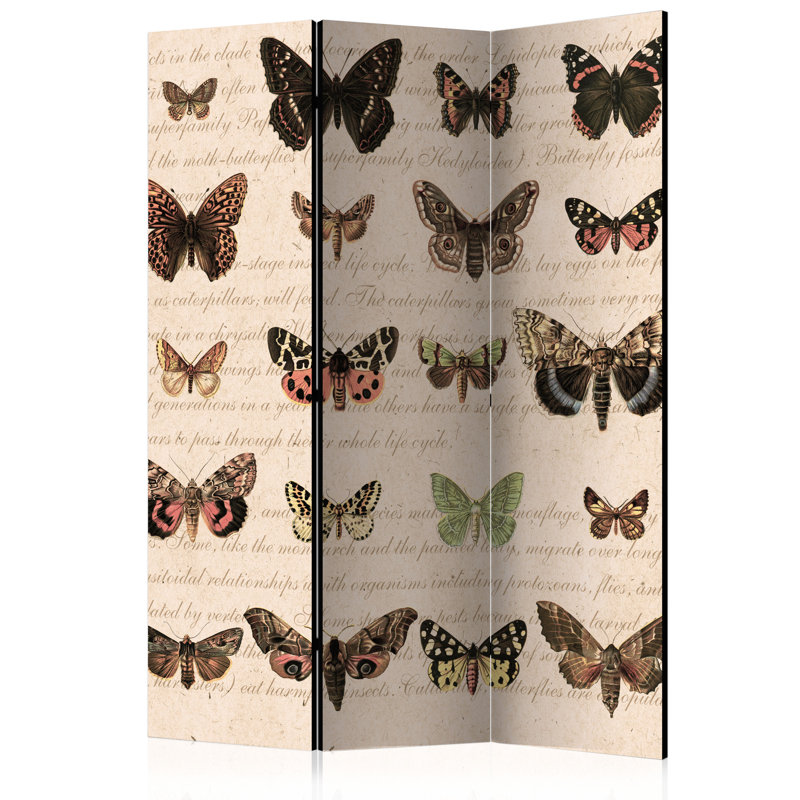 Cowles Solid Wood Folding Room Divider, 3