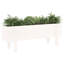 Meenakshi Wood Raised Garden Bed-1774958731-1774958774-1774958734
