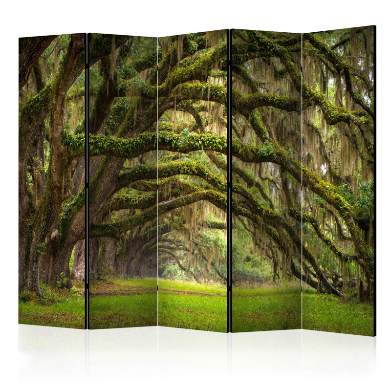 Cantrell 225cm W x 172cm H 5 - Panel Solid Wood Folding Room Divider