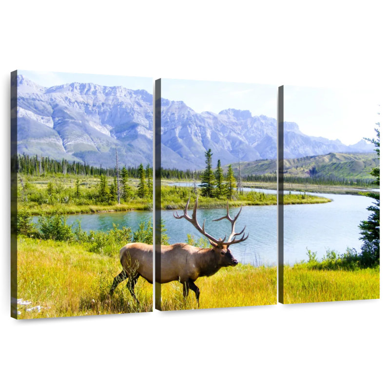 Elk Paradise, 20" H x 33" W